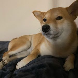 Meet your Posher, Autumn